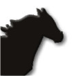 Dark Horse 